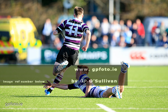 gpfoto.ie