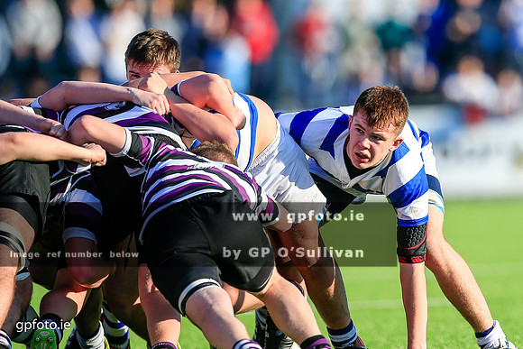 gpfoto.ie