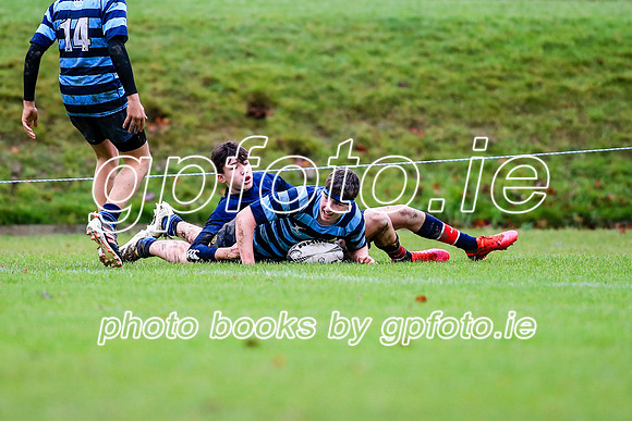 11-12-2021-CGJ29931