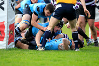 Michaels v Terenure