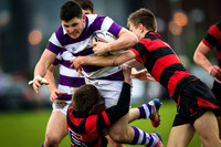 Clongowes v Kilkenny SCT