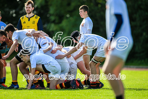 SWYL3461