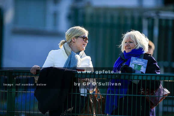 gpfoto.ie
