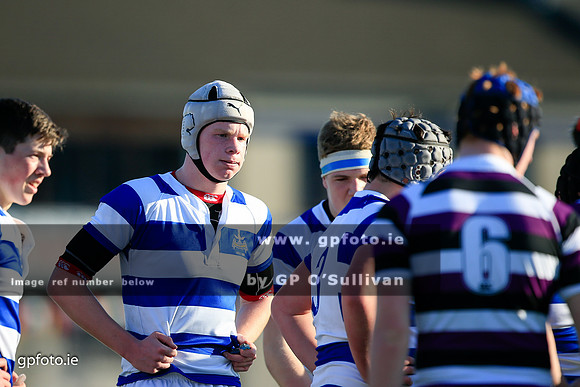 gpfoto.ie
