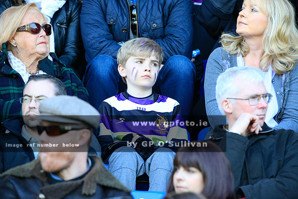 gpfoto.ie