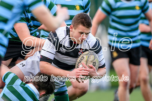 08-01-2022-SWYL0348