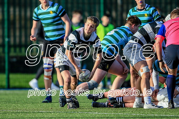 08-01-2022-SWYL0495