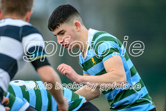 08-01-2022-SWYL0245