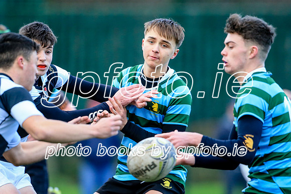 08-01-2022-SWYL0313