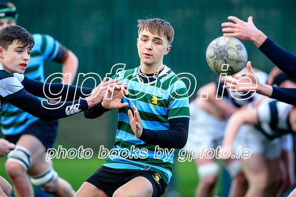 08-01-2022-SWYL0311