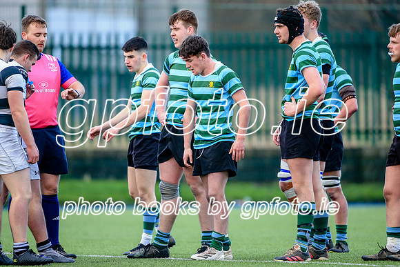 08-01-2022-SWYL0377