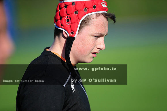 gpfoto.ie