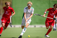 Ireland v Belgium