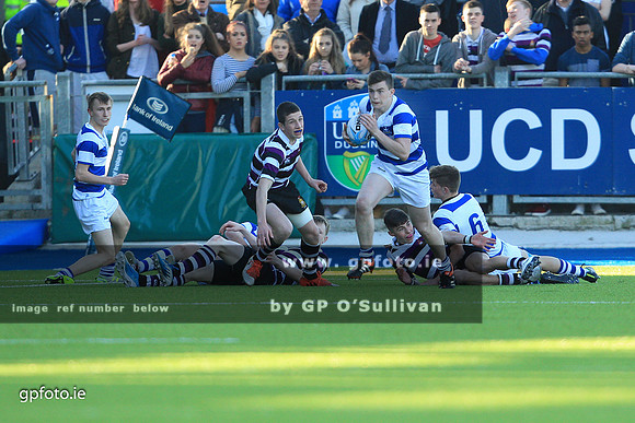 gpfoto.ie