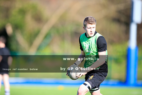 gpfoto.ie