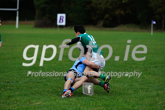 20141024-_MB_8333