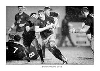 _P_31224 edit