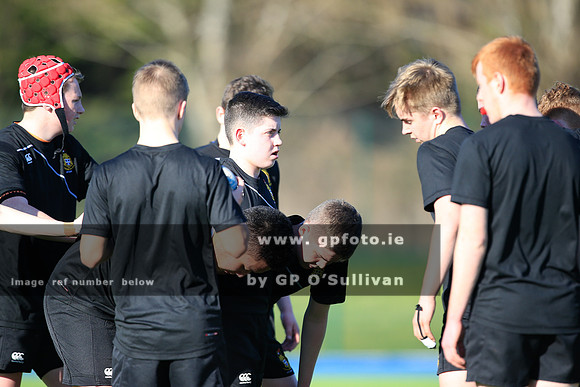 gpfoto.ie