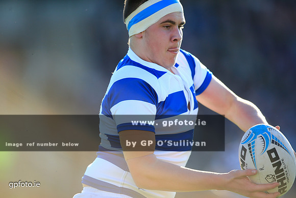 gpfoto.ie