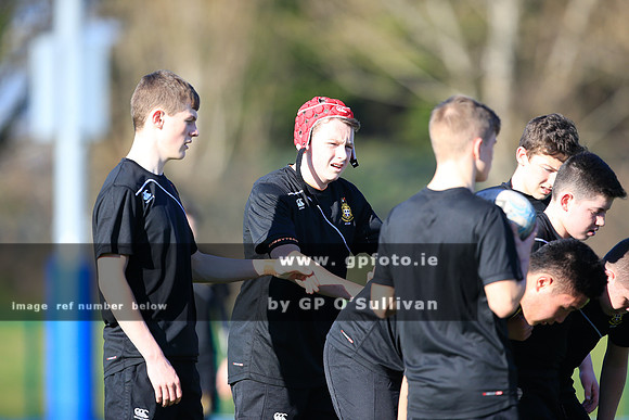 gpfoto.ie