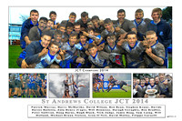 St. Andrews v Roscrea  JCT Final