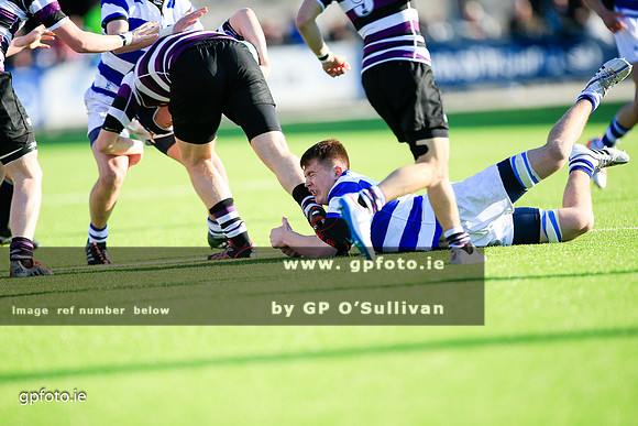 gpfoto.ie
