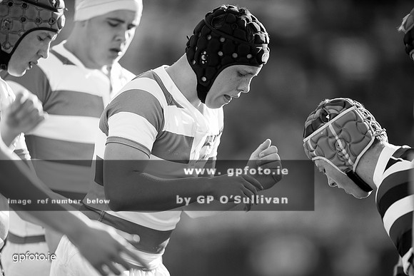 gpfoto.ie
