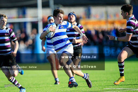 gpfoto.ie