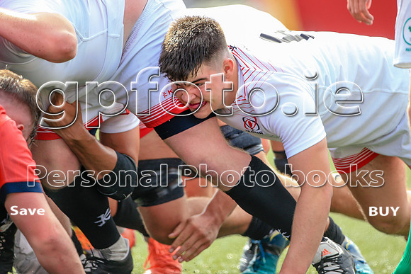 28-08-2022-SWYL0833.JPG