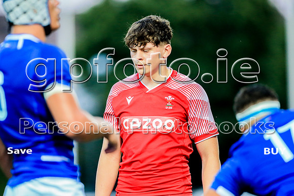 06-07-2022-SWYL9406.JPG