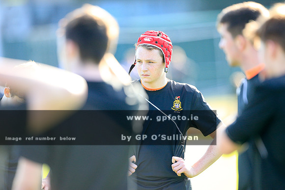 gpfoto.ie
