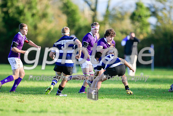 20141024-_P149874