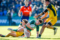 Ireland v Australia