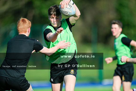 gpfoto.ie