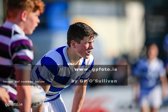 gpfoto.ie
