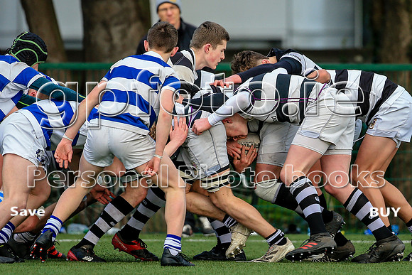 22-01-2022-SWYL1749