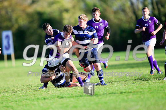 20141024-_P149889