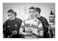 _P_11873 copy