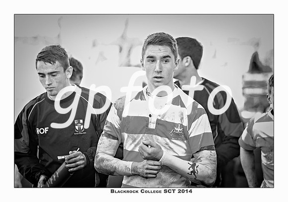 _P_11873 copy