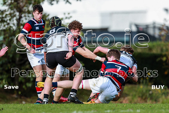 23-10-2024_ gpfoto_ (379)