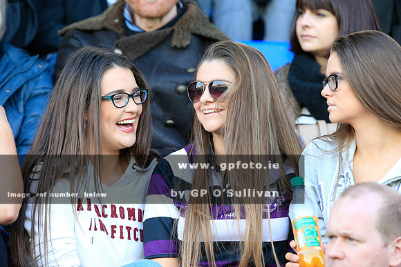gpfoto.ie