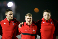 Scotland v Wales