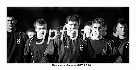 _P_36240 copy