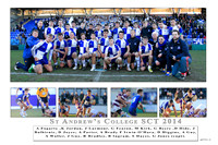 St Andrews v Clongowes SCT14