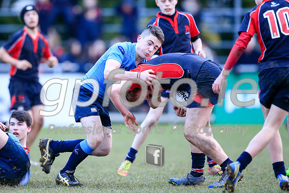 20150205-_P154951