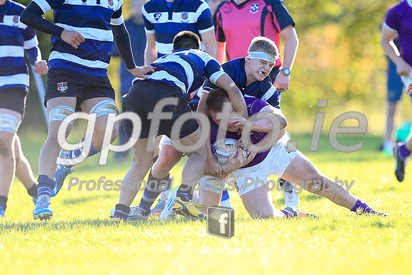 20141024-_P149805