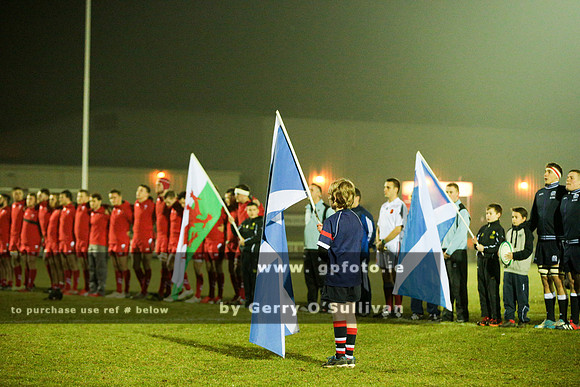 Scotland v Wales