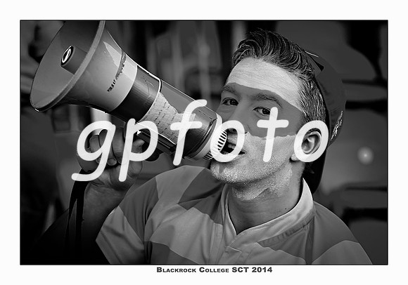 _P_11897 copy
