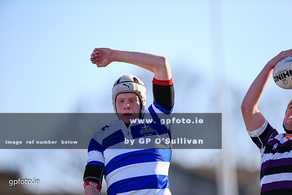 gpfoto.ie