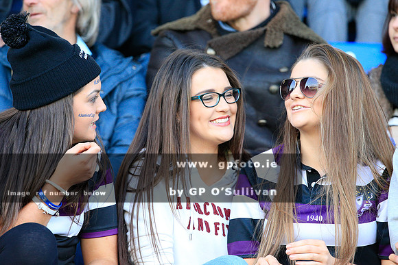 gpfoto.ie
